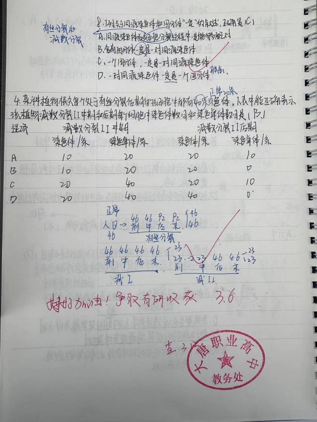 康恩琦