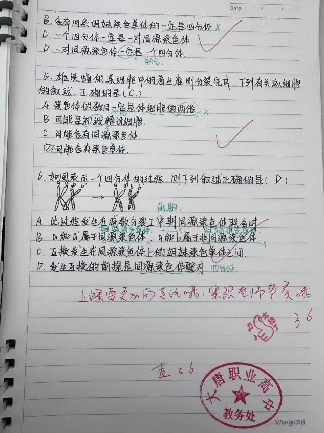 邓文璟1
